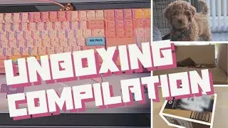 Unboxing Compilation | shoes, puppy bandana, keyboard accessories, chocolate, gaming monitor, etc.