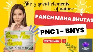 Panch Maha Bhutas | Five elements of nature | Philosophy of nature cure | BNYS | BAMS |