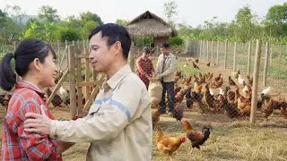 De & Huyen Replan Their Farm | Preparing a New Season & Raising 1,000 Chickens