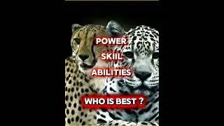 EPNO :45 [ Cheetah vs Jaguar _ Speed vs Power