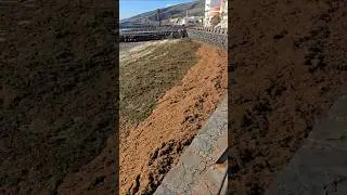 mar de ensalada hoy 🥗🌊 la invasi&oacute;n verde en el para&iacute;so 🌿😲