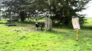 Examen Maître-Chien