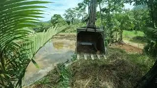 Escavadeira fazendo limpeza de lagoa com muito capim