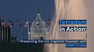 Tetradom at the U.S. Capitol