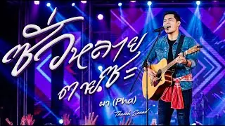 ซั่วหลายตายซะ (กูขออโหสิ)  - ผา (Pha)| เพลงอีสานเจ็บจี้ดิบดี จากใจคนถูกทำร้าย 2026 [Official Audio]