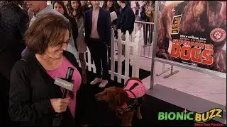 Judy Fridono & Ricohet Interview at World Premiere of Superpower Dogs
