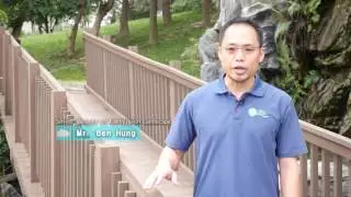 EV Wood Introduction