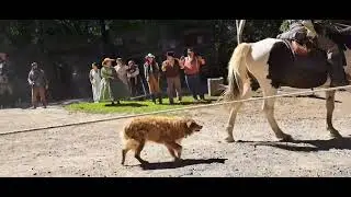 DOGWOOD PASS OLD WEST TOWN MORGANS RAID CIVIL WAR