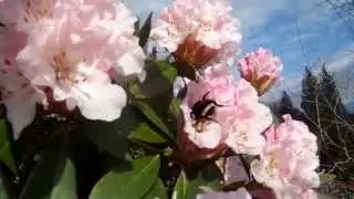 february in bc
