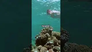 You Won&rsquo;t Believe Gros Islet&rsquo;s Top 5 Activities!