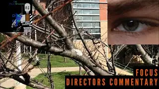 Director's Commentary | Focus
