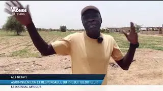 Sénégal : visite des jardins circulaires de la Grande Muraille verte