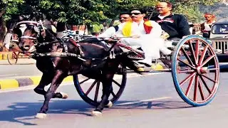 Bhumihar Status Video | Anant Singh Kafila | #bhumihar #babhan #bihar