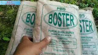 PUPUK KOMPLIT PBS BOSTER MALAYSIA PUPUK BUAH SUPER