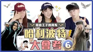 哈利波特第六集大會考！混血王子的由來？發生了什麼讓粉絲心碎的事情？哈迷來挑戰！｜麻瓜挑戰💪
