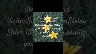 #Enjoy#Flower#Designs#Rangoli by Maithili #विष्णुसहस्रनाम स्तोत्र  #VishnuSahasraNaam Stotra