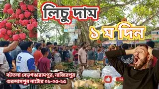 আজকের লিচুর দাম (১ম দিন)  বটতলা লিচুর আরত, নাজিরপুর #khairulislamtv #লিচু #পাইকারি