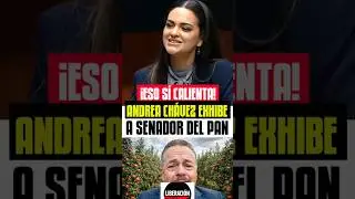 Andrea Ch&aacute;vez exhibe a senador del PAN.
