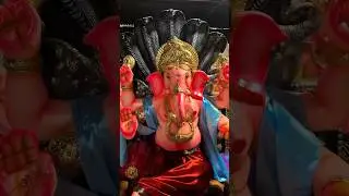 #ganeshachaturthi #ecofriendlyganesh #nammabengaluru #viralshorts #ecofriendlyidols