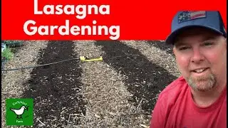 Why I Love the Lasagna No-Till Garden Method