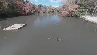 WENONAH LAKE NEW JERSEY Fall Flight