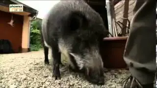 Andreas Kieling   Mitten im wilden Deutschland 15 Vom Dreiländereck ins Coburgerland   Teil 3