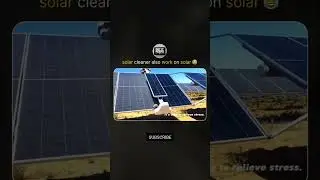 A solar cleaning robot😱#shortsfeed #shorts #solar #innovation #sustainability #ecofriendly #cleaning