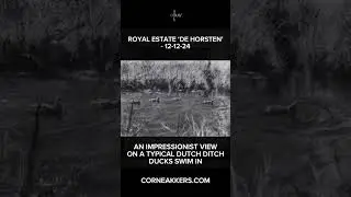 Royal Estate &lsquo;De Horsten&rsquo; &ndash; 12-12-24
