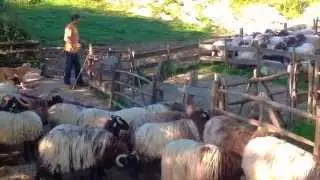 KAIOLAR ELTZEGAINIA MD