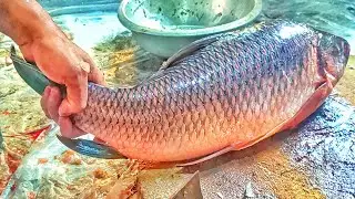 Mastering Rohu Fish Cutting Skills: A Step-by-Step Guide for Beginners