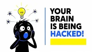 How Curiosity Rewires Your Brain | Fascinating Science Explained