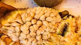 MARANG from Davao City Philippines | Chow Food Crawl