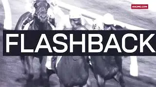 Oakleigh Plate Flashback | Fastnet Rock, Snitzel, Lankan Rupee & Jimmysstar