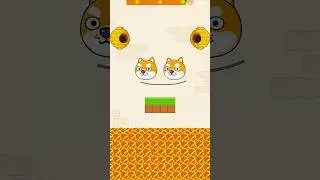 Best Dog Puzzle Gameplay | New Fun Game 2025
