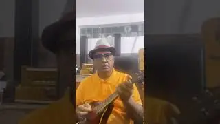 මා ප්&zwj;රිය මැන්ඩලිනය My dear Mandolin #music #love
