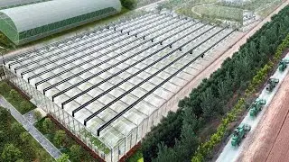 Эти передовые методы ведения сельского хозяйства в Китае улучшили жизнь многих людей