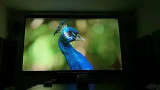 Optoma HD80 - DLP Full HD projector long throw 1080p - 0.95