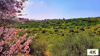 The national park in Ness Ziona, Israel