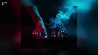 Not Dead Yet - LEFT TOE  [Lyrics video]