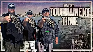 Newport Spotty Tournament with team Life Like Plastics | spotted bay bass