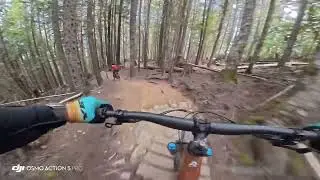 Devils Club - Whistler