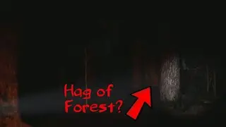 The Quarry:Hag in The Forest || Hag of Hacketts Quarry