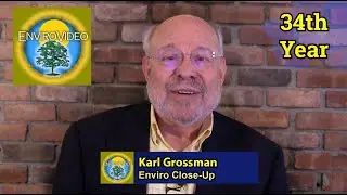 An EnviroVideo Sampler