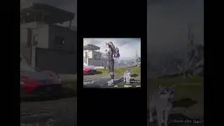 Позиции у меня