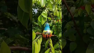 Customized wasted bulb painting ideas 😱💡#customized #bulbpainting #decoration #paintingforbeginners