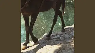 Diamond Rains