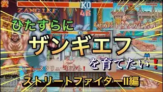 ひたすらザンギエフを育てる動画①～ストリートファイターⅡ編～