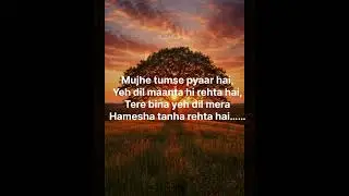 Mujhe tumse pyaar hai