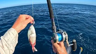 Надо было сделать это раньше! Стратегия морской рыбалки во Флориде &mdash; личные рекорды!