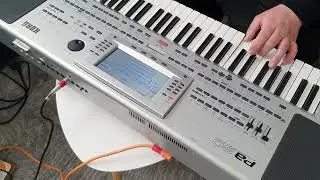 Korg Pa80 Disco Style